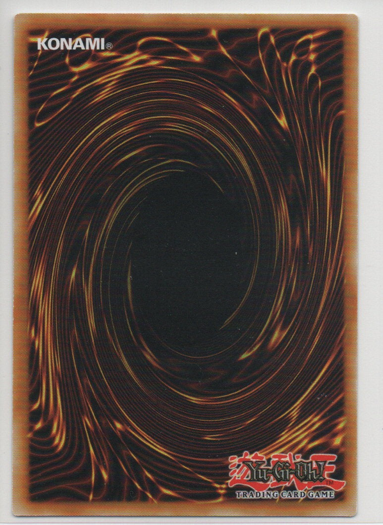 2013 EN Number 46: Dragluon Shadow Specters RAW