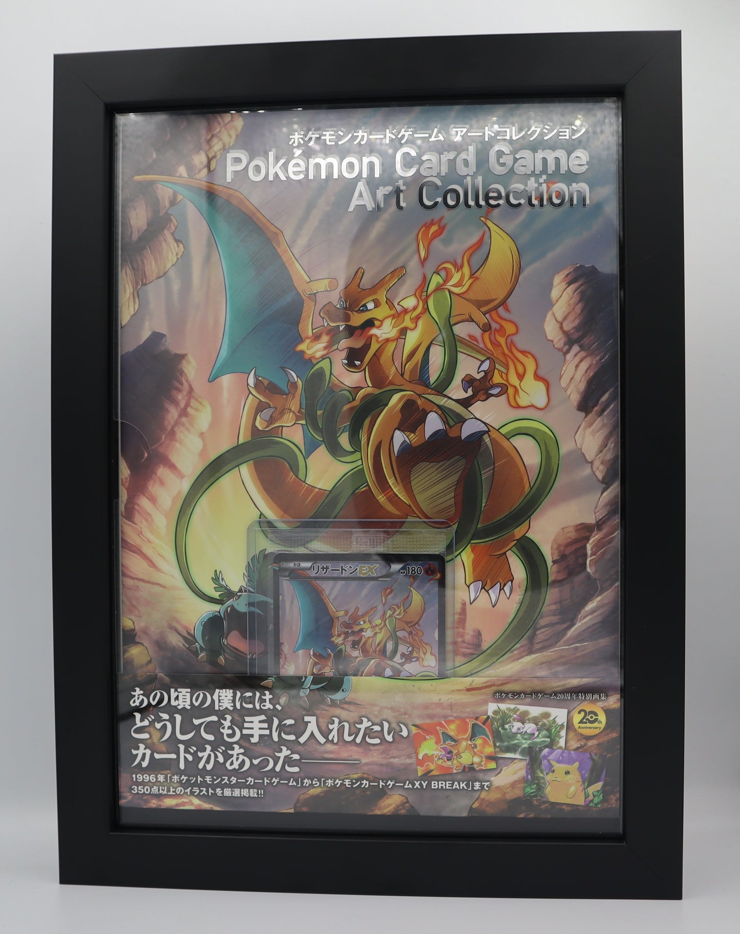 2016 JP Pokemon Card Charizard EX 276/XY-P Promo Art Collection + Book Limited JAPAN Framed XY-Promo