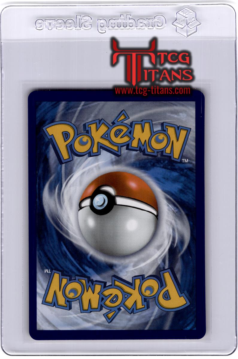 2020 EN Rayquaza Vivid Voltage RAW