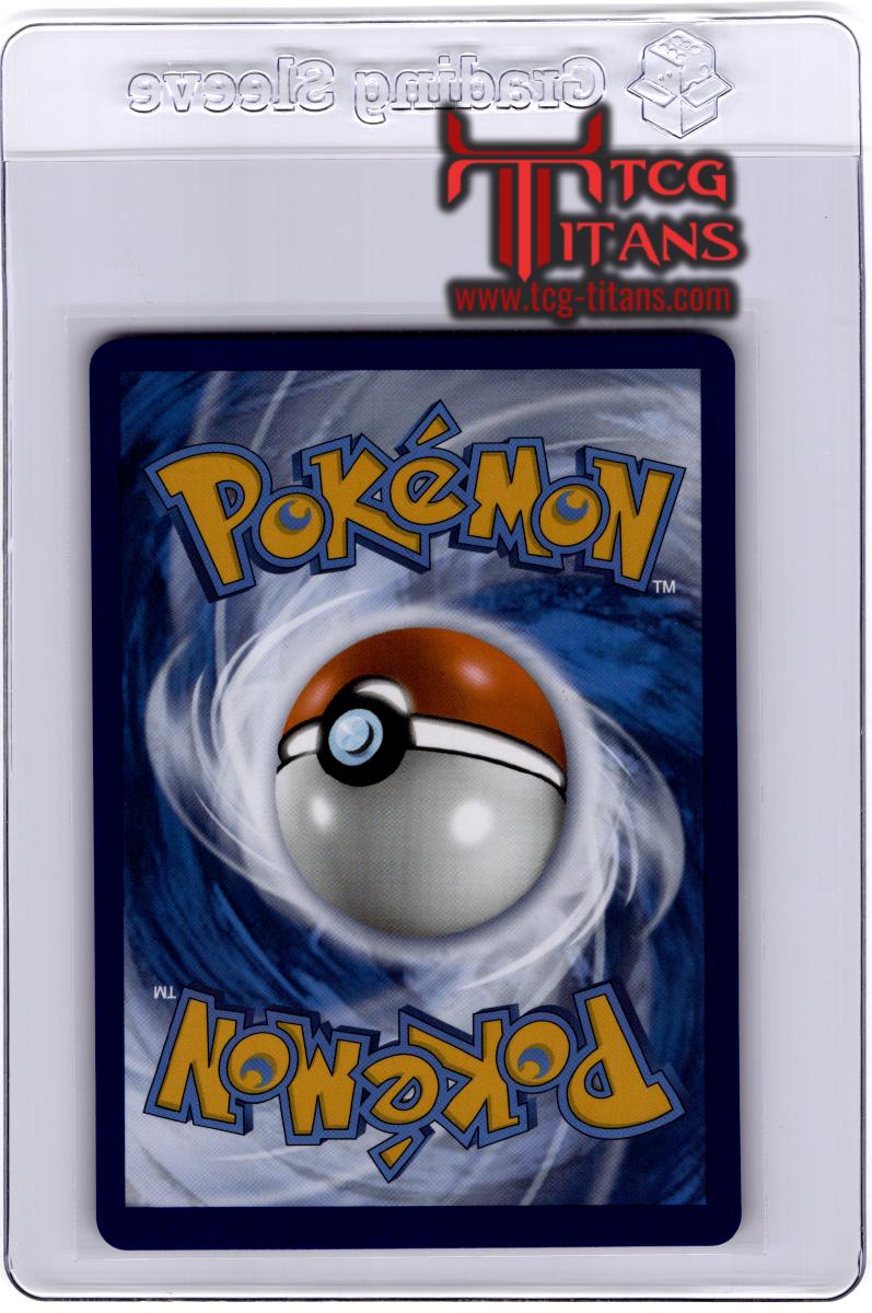 2022 EN Boltund V Brilliant Stars RAW