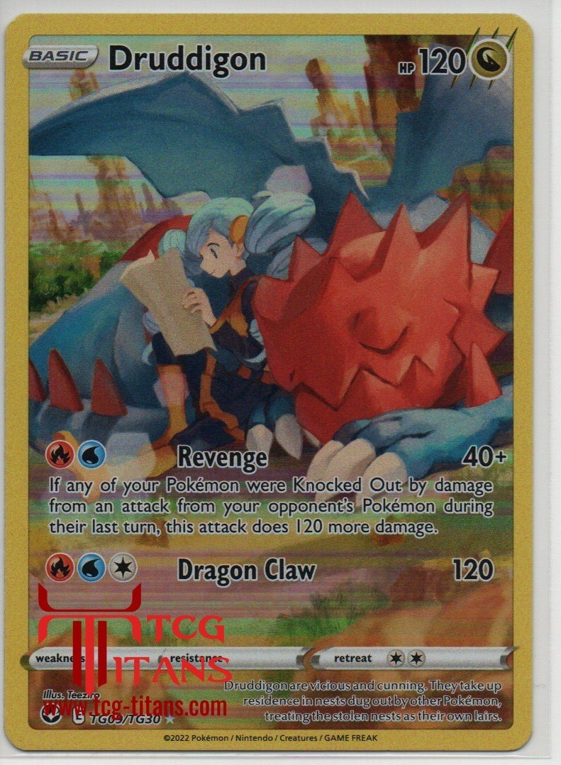 2022 EN Druddigon Silver Tempest RAW
