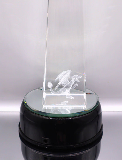 2004 - 2005 1st Place Pokemon National Championships Trophy