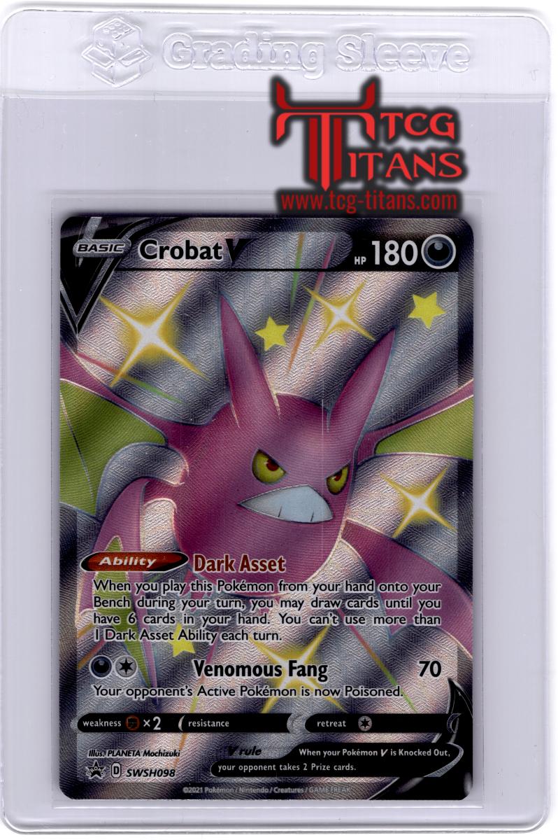 2019 EN Crobat V Black Star Promo RAW