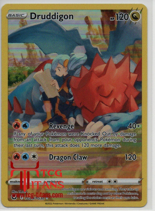 2022 EN Druddigon Silver Tempest RAW