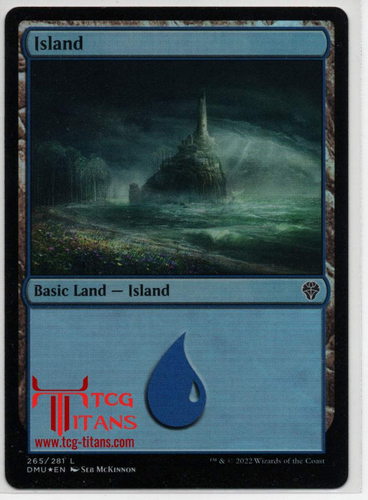 2022 English Island - Basic Land Dominaria United Raw Card